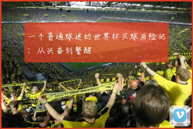 一个普通球迷的世界杯买球历险记:从兴奋到警醒