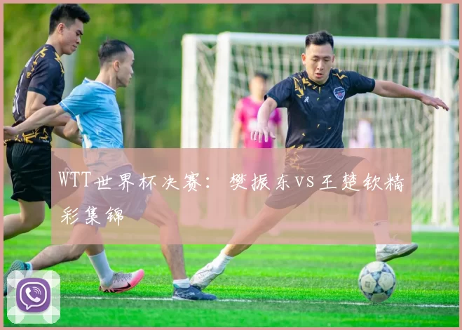 WTT世界杯决赛:樊振东vs王楚钦精彩集锦