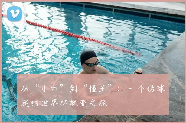 从“小白”到“懂王”:一个伪球迷的世界杯蜕变之旅