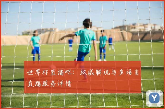 世界杯直播吧：权威解说与多语言直播服务详情