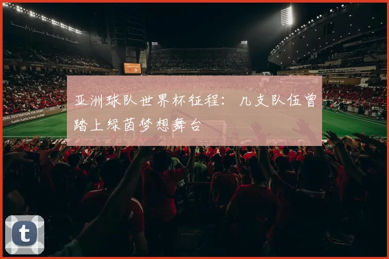 亚洲球队世界杯征程：几支队伍曾踏上绿茵梦想舞台