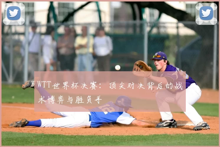 WTT世界杯决赛:顶尖对决背后的战术博弈与胜负手