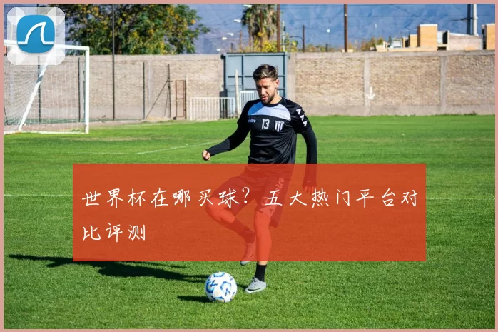 世界杯在哪买球?五大热门平台对比评测