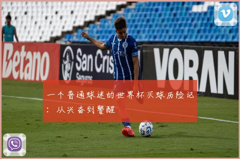 一个普通球迷的世界杯买球历险记:从兴奋到警醒