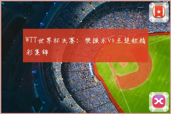 WTT世界杯决赛:樊振东vs王楚钦精彩集锦