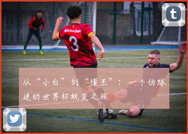 从“小白”到“懂王”:一个伪球迷的世界杯蜕变之旅