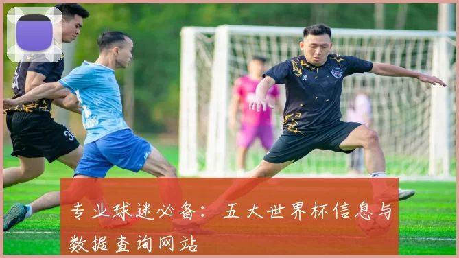 专业球迷必备：五大世界杯信息与数据查询网站