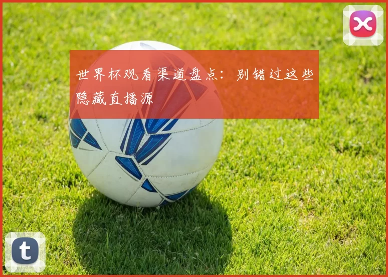 世界杯观看渠道盘点：别错过这些隐藏直播源