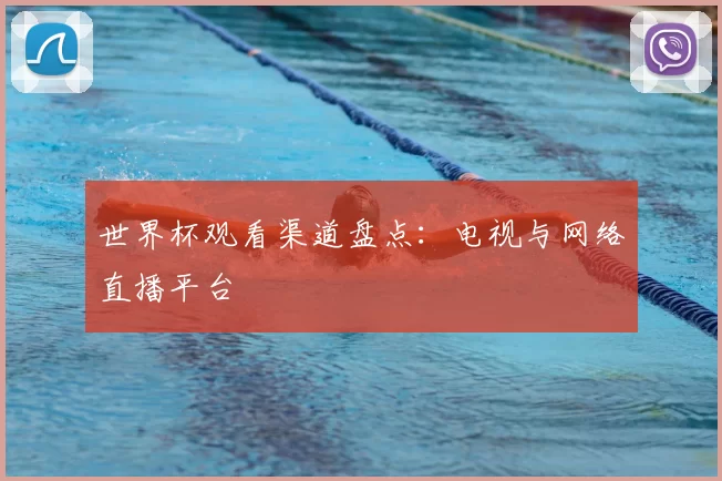 世界杯观看渠道盘点：电视与网络直播平台
