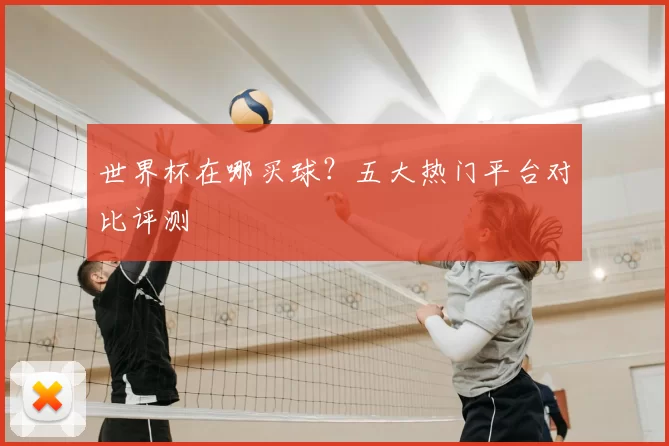 世界杯在哪买球？五大热门平台对比评测