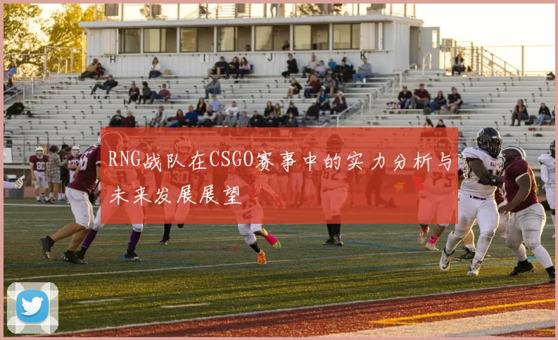 RNG战队在CSGO赛事中的实力分析与未来发展展望