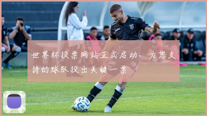 世界杯投票网站正式启动,为您支持的球队投出关键一票