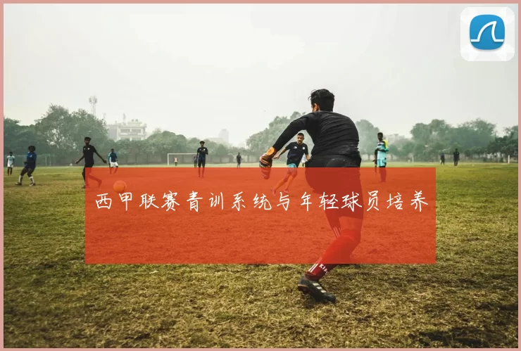 西甲联赛青训系统与年轻球员培养