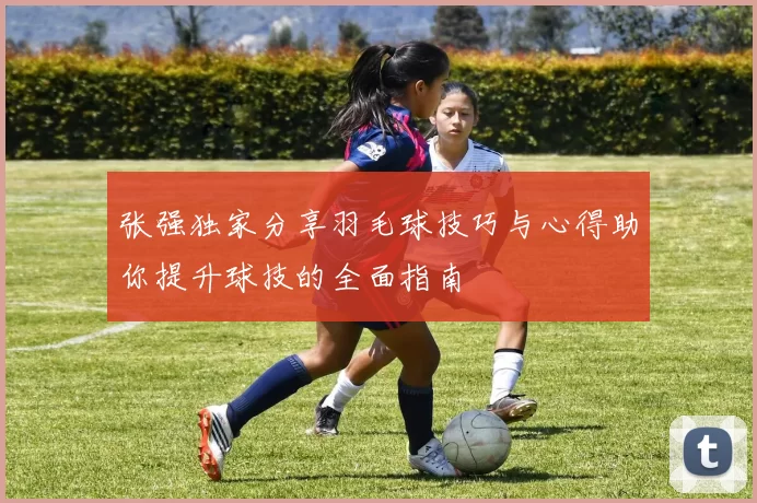 张强独家分享羽毛球技巧与心得助你提升球技的全面指南
