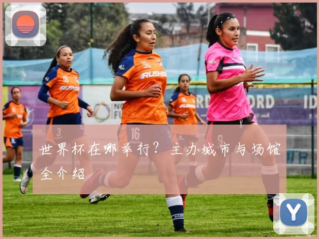 世界杯在哪举行?主办城市与场馆全介绍