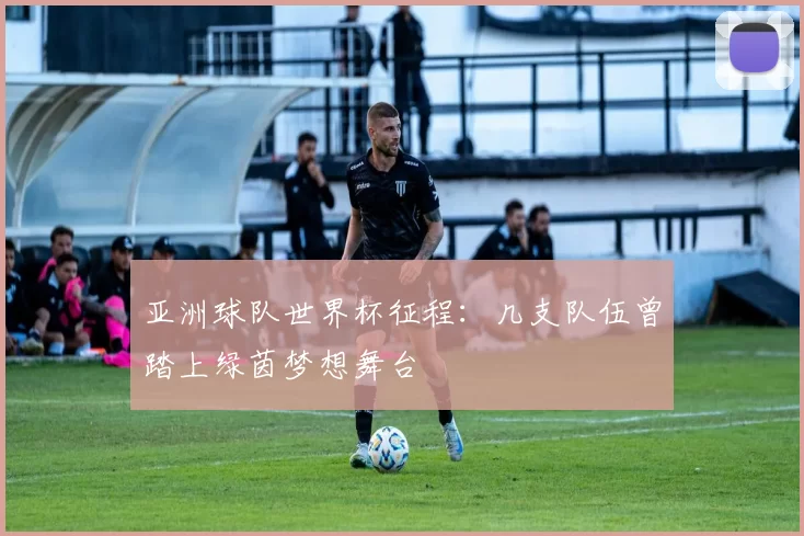 亚洲球队世界杯征程：几支队伍曾踏上绿茵梦想舞台