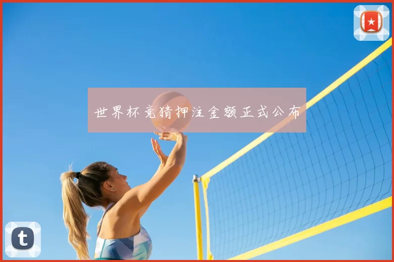 世界杯竞猜押注金额正式公布